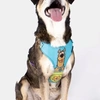 Peitoral FreeFaro Air Scooby-Doo Para Cães Tamanho P - imagem 3