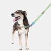 Peitoral FreeFaro Antipuxão Scooby-Doo Para Cães Tamanho M - imagem 3