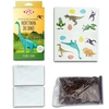 Kit de Cultivo Microverdes Dino de Feijao e Couve Isla Sementes - imagem 3
