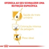 Ração Royal Canin para Cães Adultos Miniature da Raça Schnauzer 7,5Kg  - imagem 4