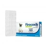 Analgésico e Anti-Inflamatório Firocoxib 50mg Vetnil para Cães  14 comprimidos - imagem 1