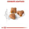 Ração Royal Canin Feline Health Nutrition Sensible 400g - imagem 3