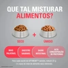 Ração Optimum para Cães Filhotes Raças Médias e Grandes Sabor Frango e Arroz 3Kg - imagem 3