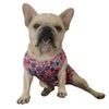 Roupa Wein Pets Unissex para Cães Pós Cirúrgica Candy Tamanho 14 - imagem 1