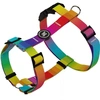 Kit Multi Patas Peitoral H com Guia Premium Rainbow Tamanho G Para Cães - imagem 1
