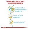 Ração Royal Canin para Cães Filhotes da Raça Shih Tzu 1Kg  - imagem 2
