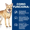 Ração Hill's Prescription Diet I/d Gastro Intestinal para Cães 7,98Kg - imagem 5