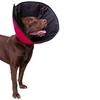 Colar Elizabetano PetDesigner Cor Vermelho Tamanho 3 - imagem 4
