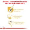 Ração Royal Canin para Cães Adultos da Raça Pastor Alemão 10,1Kg - imagem 3