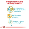 Ração Royal Canin para Cães Filhotes da Raça Pastor Alemão 10,1Kg - imagem 3