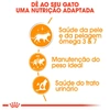 Ração Úmida Royal Canin Pele e Pelagem Pedaços ao Molho para Gatos 85g - imagem 3