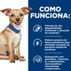 Ração Hill's Prescription Diet i/d Pedaços Pequenos Cuidado Gastrointestinal para Cães 3.17Kg - imagem 3