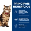 Ração Hill's Science Diet Pele e Estômago Sensíveis para Gatos Adultos 1,58Kg - imagem 3