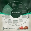 Ração Bionatural Prime para Cães Adultos de Raças Pequenas Sabor Cordeiro, Blueberry, Coco e Aveia 2,5Kg  - imagem 3