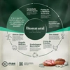 Ração BioNatural Prime para Cães Sênior 7+ Raças Pequenas Sabor Frango, Blueberry,Coco e Cevada 2,5Kg - imagem 3