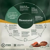 Ração BioNatural Prime para Gatos Adultos Castrados Sabor Salmão,Maracujá,Cranberry e Chia 7,5Kg - imagem 3