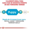 Ração Royal Canin para Cães Filhotes da Raça Yorkshire 1Kg - imagem 4