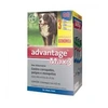 Antipulgas Bayer Advantage MAX3 para Cães acima de 25kg com 3 unidades - imagem 1