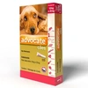 Antipulgas Advocate para Cães de 10 a 25kg 2,5ml  - imagem 1