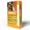 Antipulgas Advocate Para Gatos 0.4ml Até 4kg - imagem 1