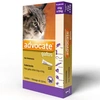 Antipulgas Advocate Para Gatos 0,8ml de 4Kg a 8kg  - imagem 1