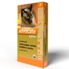 Antipulgas Advocate Para Gatos 0.4ml Até 4kg Combo com 3 Unidades - imagem 1