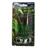 Plantas Maxxi Ap-4 10Cm - imagem 1