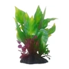 Plantas Maxxi HP-6 15Cm - imagem 1