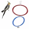 Argola Dupla Calopsita Ms Pet - imagem 2