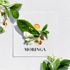 Produto 12