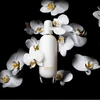 Produto 16355