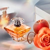 Produto 25022