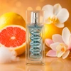 Produto 22979