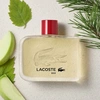 Produto 1102019
