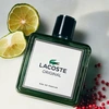 Produto 3142271