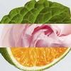 Produto 463