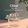 Produto 17075