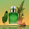 Produto 17079