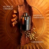 Produto 17166