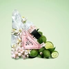 Produto 17276
