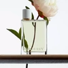 Produto 17333