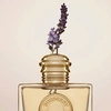 Produto 851
