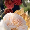 Produto 8972