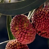 Produto 8973