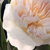 Produto 8974