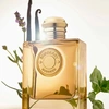 Produto 17382