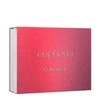 Produto 17405