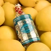 Produto 17719