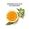 Produto 17749
