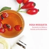 Produto 3190356